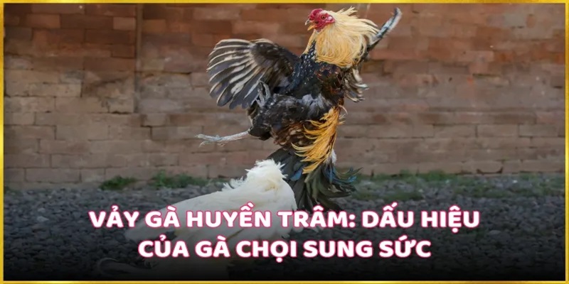 Thường xuyên thực hiện các bài tập để nâng cao thể lực khi thi đấu chuyên nghiệp