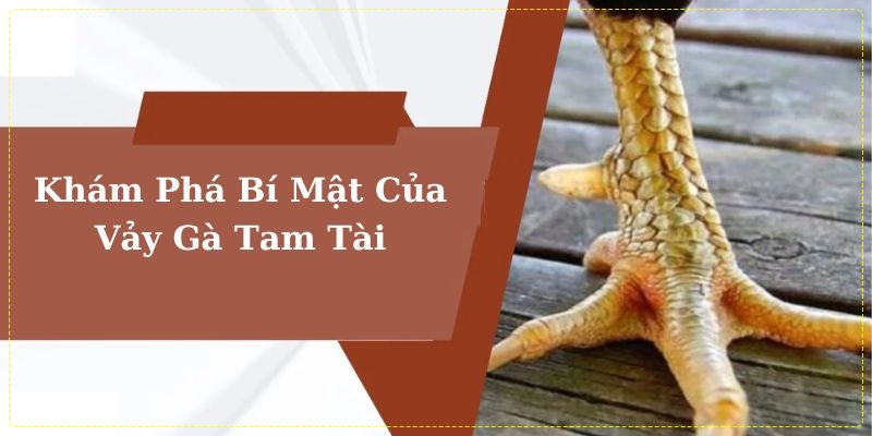 Vảy gà tam tài